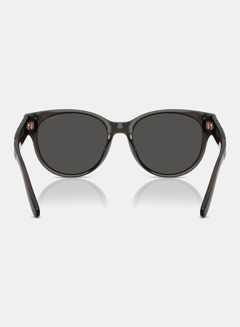 كوتش نظارة شمسية دائرية كاملة الحواف 8430D 589787 - Image 3